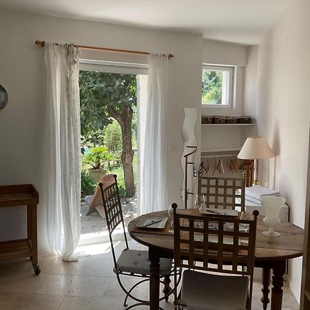 Studio Lumineux Villeneuve-lès-Avignon Εξωτερικό φωτογραφία